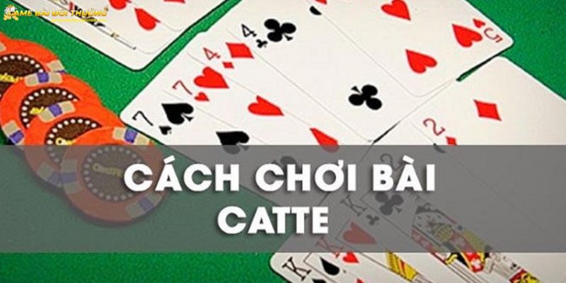 Cách chơi bài Catte đơn giản dành cho tân binh