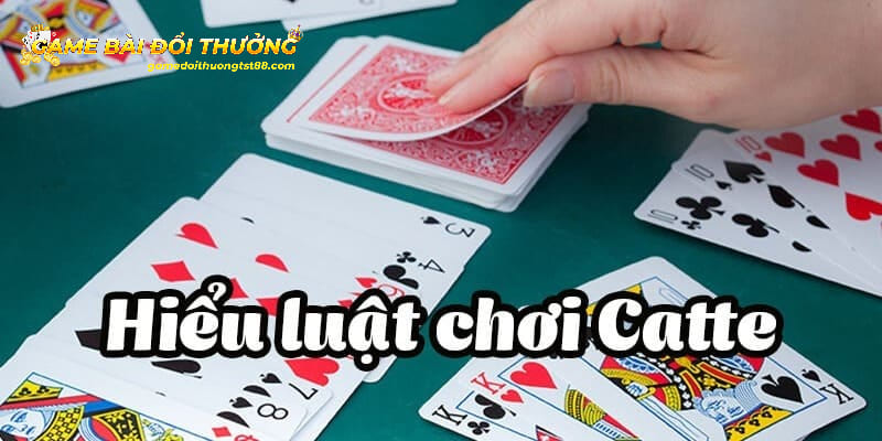 Bài Catte Mấy Lá - Lý Giải Thông Tin Quan Trọng Cho Tân Binh